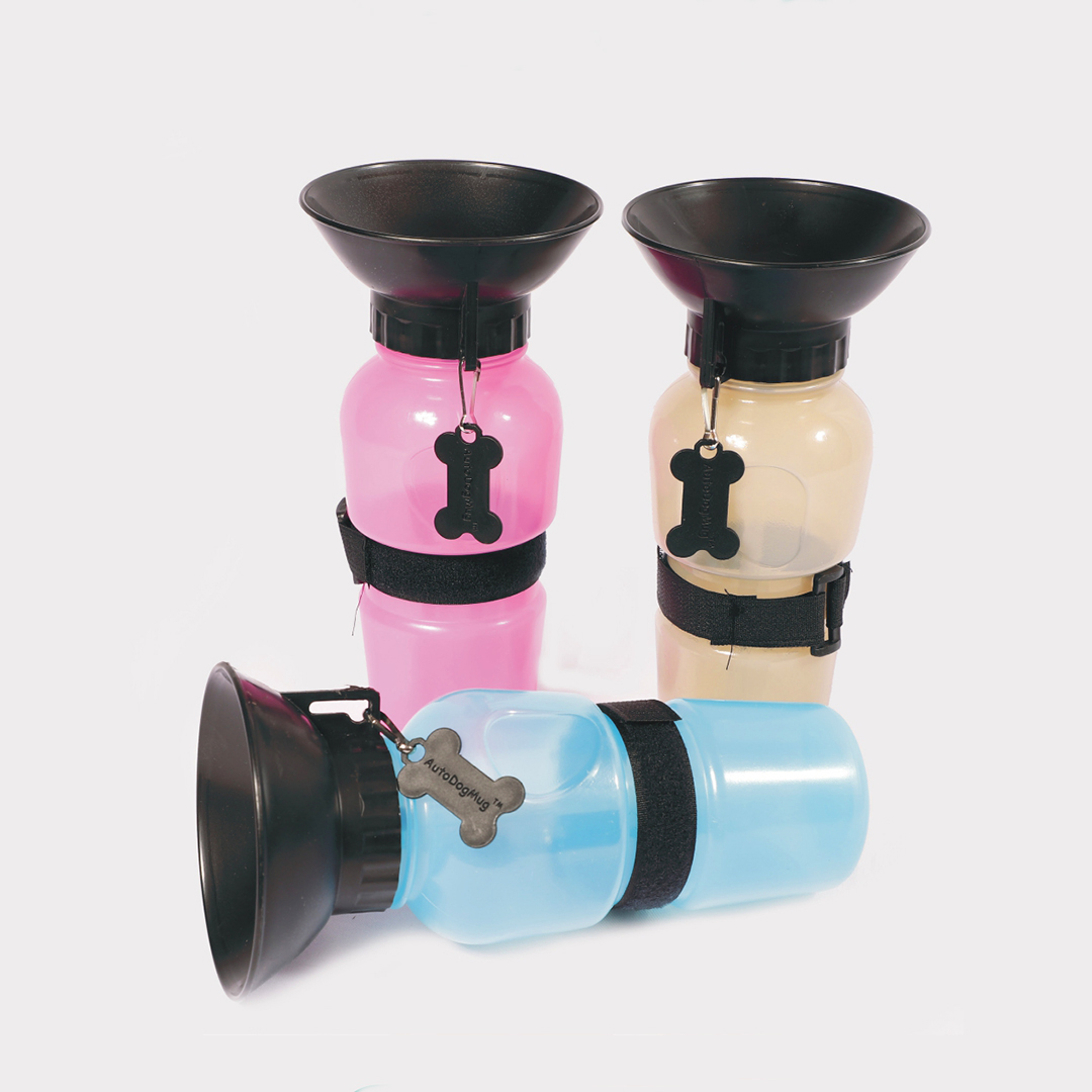 Accesorios Perros