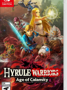Zelda Hirulle WarriorS Nintendo Swich